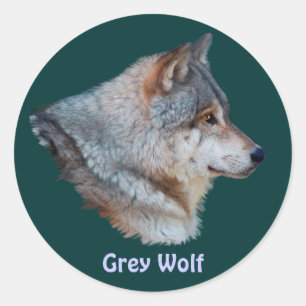 GRAY WOLF Wildlife Sticker Collection