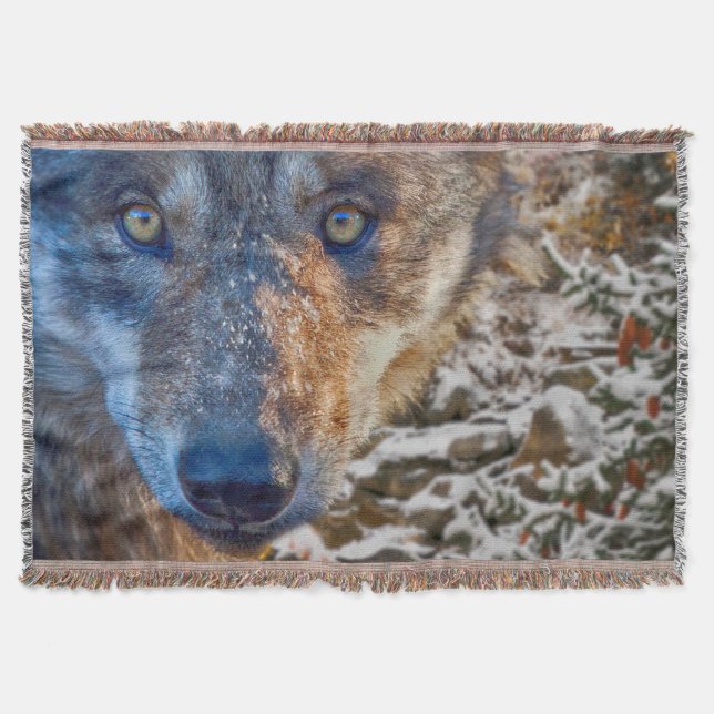 GRAY WOLF WINTER'S RANGER DECKE (Vorderseite)