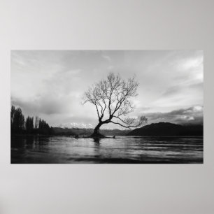 GRAYSCALE FOTO VON BARE BAUM AUF CALM BODY OF WASS POSTER