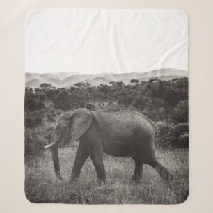 GRAYSCALE FOTO VON GRAUELEFANT IN DER NÄHE VON B SHERPADECKE