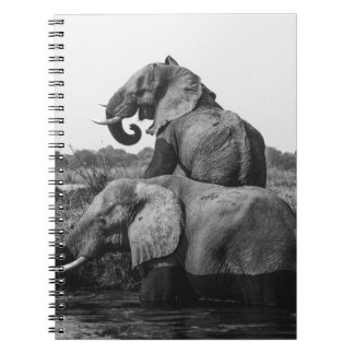 GRAYSCALE FOTO VON ZWEI ELEFANTEN AUF WASSERKÖRPER NOTIZBLOCK