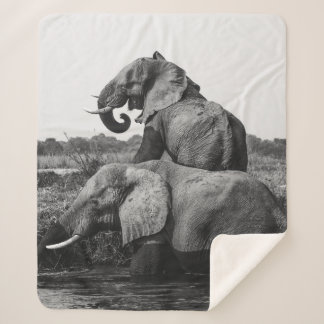 GRAYSCALE FOTO VON ZWEI ELEFANTEN AUF WASSERKÖRPER SHERPADECKE