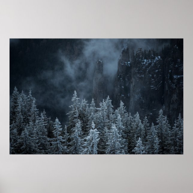 GRAYSCALE FOTOGRAFIE DER BERGE UND BÄUME POSTER (Vorne)