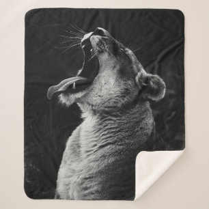 GRAYSCALE FOTOGRAFIE DER YAWNING LIONESS SHERPADECKE