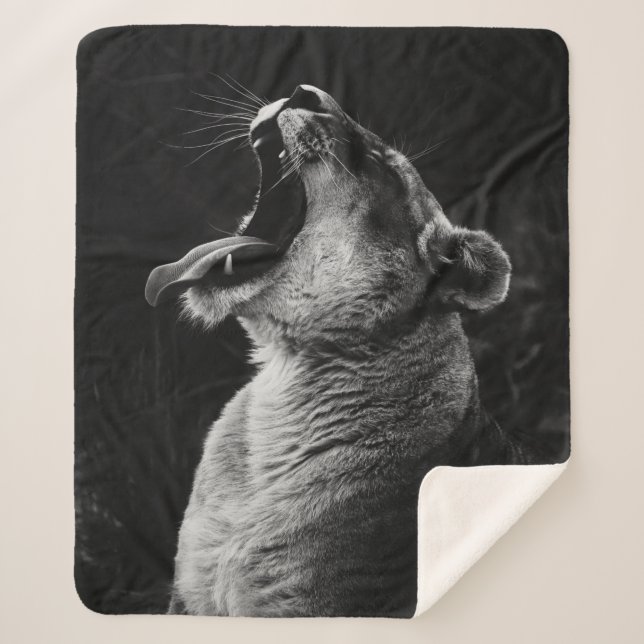 GRAYSCALE FOTOGRAFIE DER YAWNING LIONESS SHERPADECKE (Vorderseite)