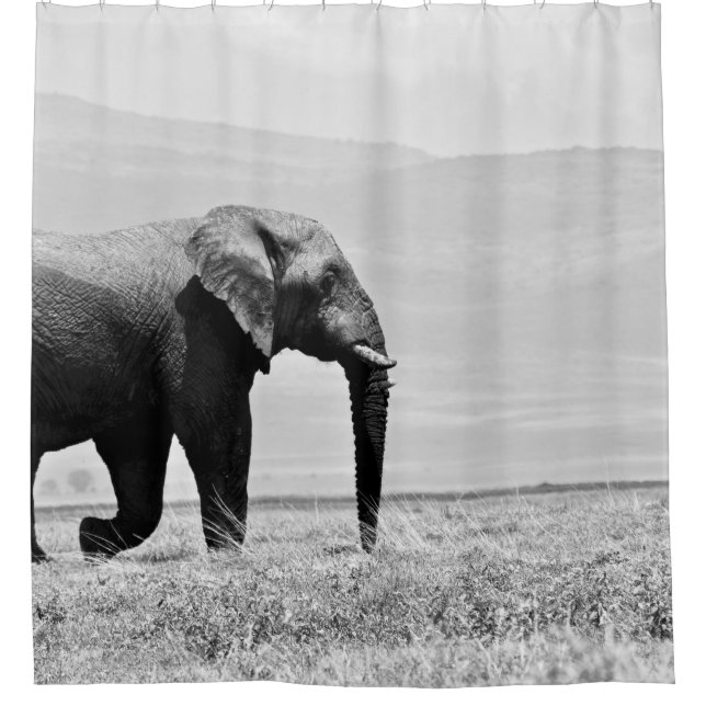 GRAYSCALE FOTOGRAFIE DES ELEPHANS DUSCHVORHANG (Vorderseite)