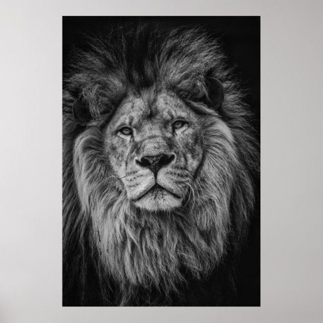 GRAYSCALE FOTOGRAFIE VON LION POSTER (Vorne)