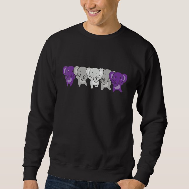 Graysexual Flag Pride Month Lgbtq Graysexual Eleph Sweatshirt (Vorderseite)