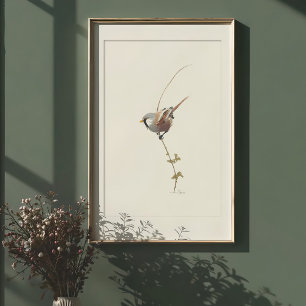 Grazile Bartmeise-Aquarell-Kunst Poster