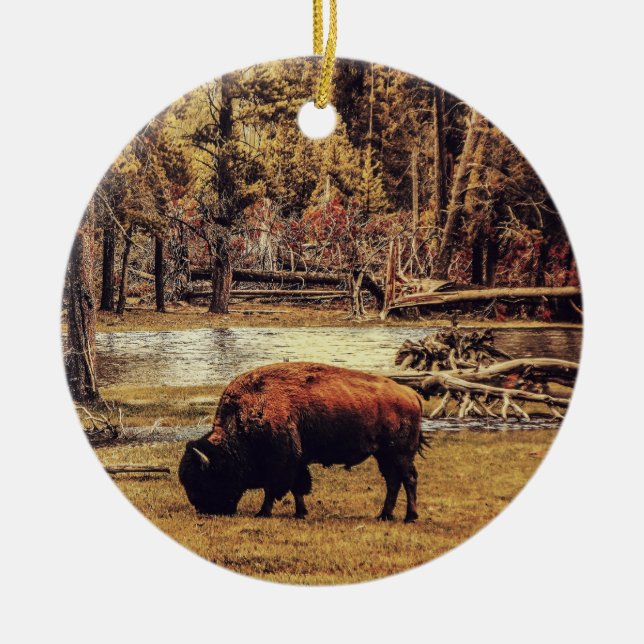 Grazing Buffalo Ornament (Vorne)