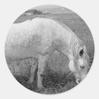 Grazing Dappled Gray Runder Aufkleber