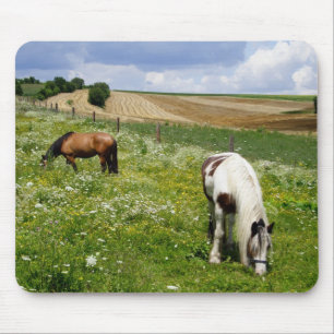 Grazing horses mousepad