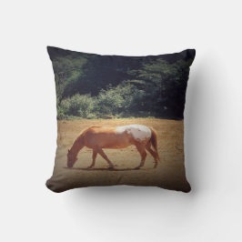 Grazing Palomino.... Kissen