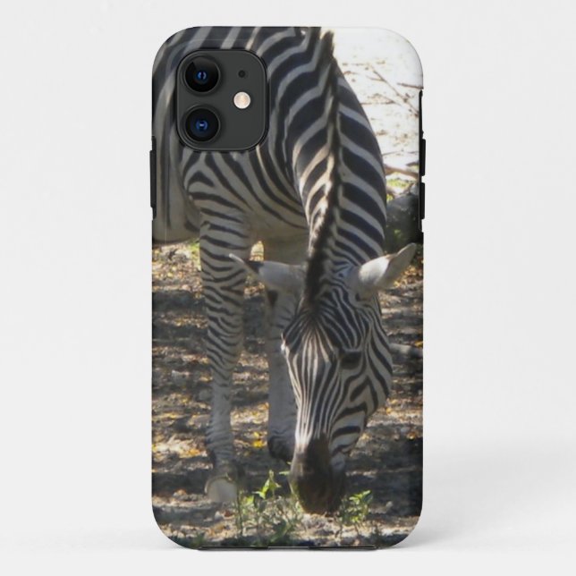 Grazing Zebra iPhone 5 Fall Case-Mate iPhone Hülle (Rückseite)