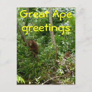 Great Ape Friends Postkarte