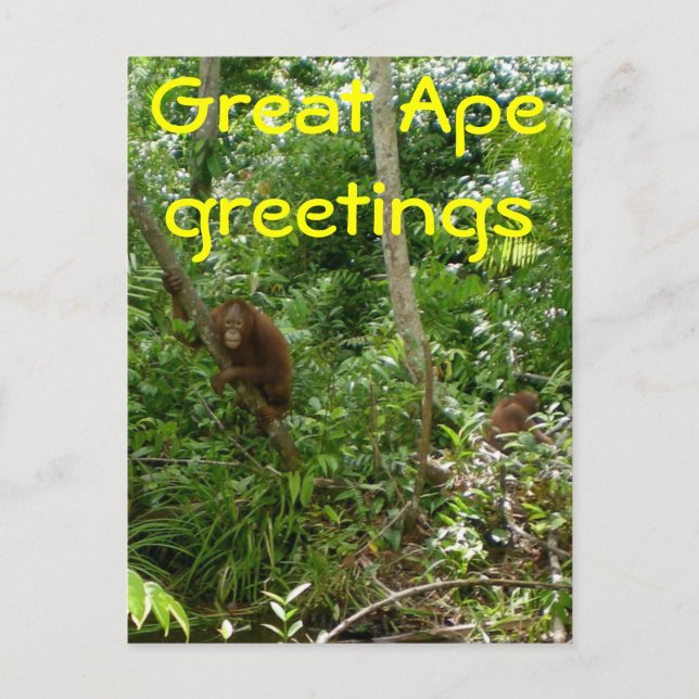 Great Ape Friends Postkarte (Vorderseite)