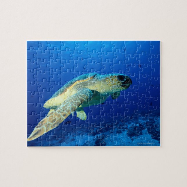 Great Barrier Reef, Australien 2 Puzzle (Horizontal)