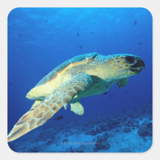 Great Barrier Reef, Australien 2 Quadratischer Aufkleber (Vorderseite)