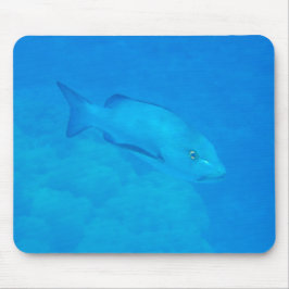 Great Barrier Reef Bohar Snapper Fisch Mousepad