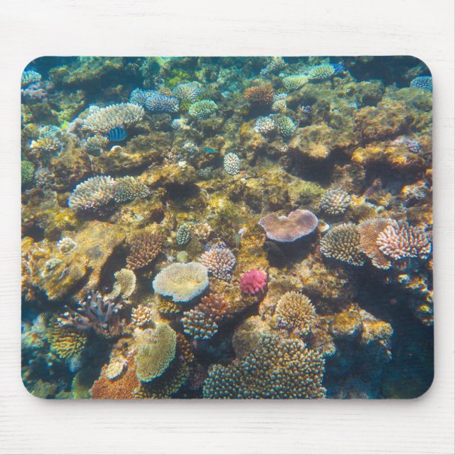 Great Barrier Reef Coral - #4 Mousepad (Vorne)