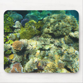 Great Barrier Reef Coral - #5 Mousepad