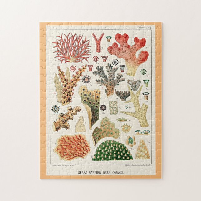 Great Barrier Reef Corals Puzzle (Vertikal)