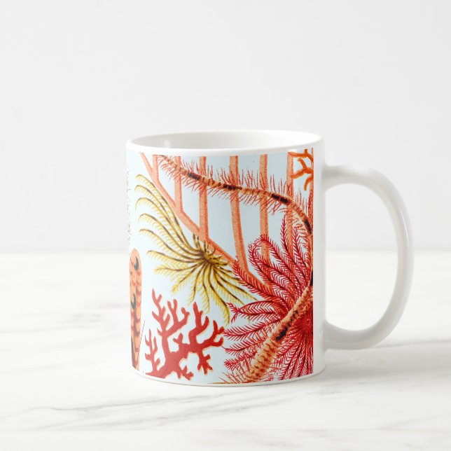 Great Barrier Reef Echinoderme | VINTAG Kaffeetasse (Rechts)