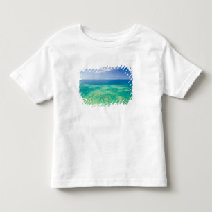 Great Barrier Reef, Luftbild Green 2 Kleinkind T-shirt