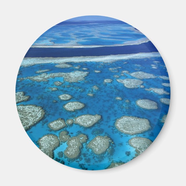 Great Barrier Reef Magnet (Vorne)
