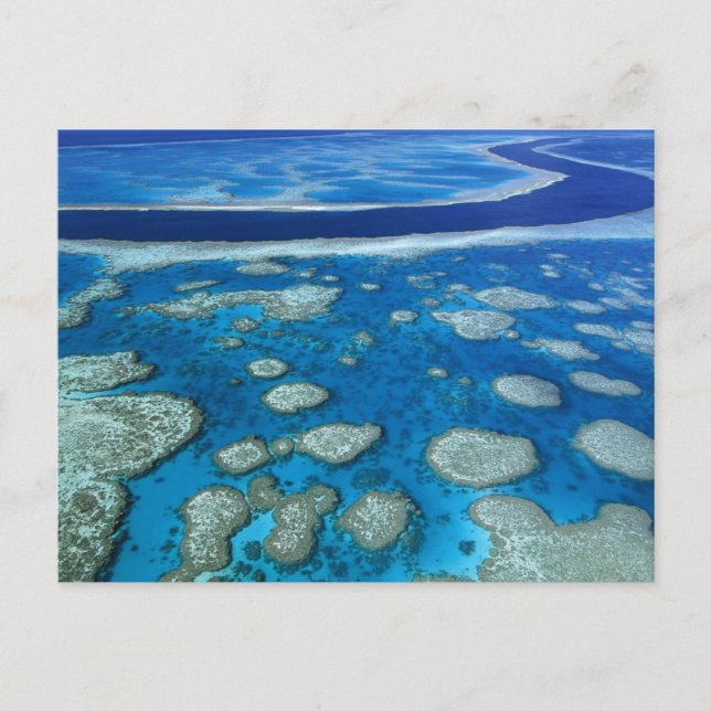 Great Barrier Reef Marine Park Queensland AU Postkarte (Vorderseite)