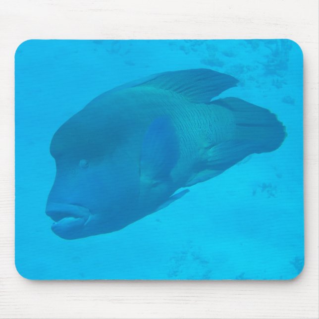 Great Barrier Reef Napoleon Wrasse Fish Mousepad (Vorne)