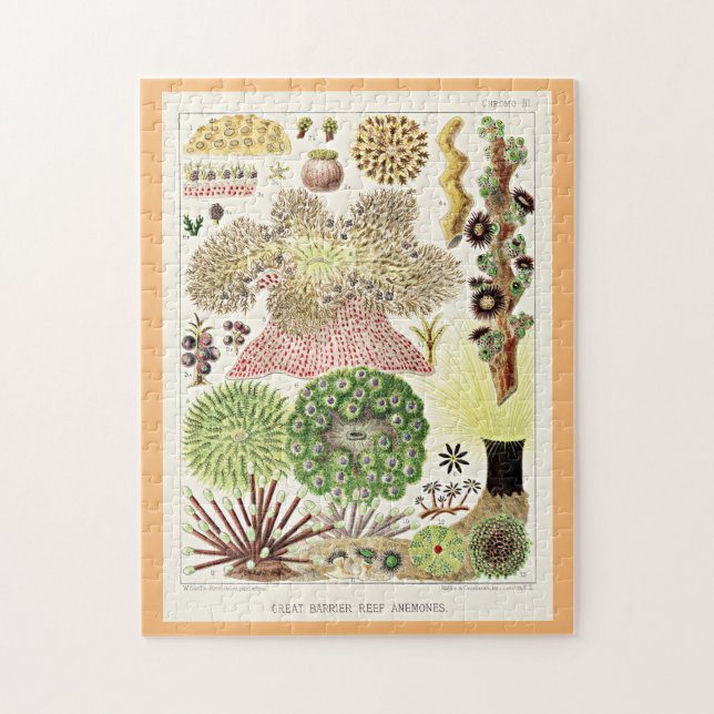 Great Barrier Reef of Australia Anemones Puzzle (Vertikal)
