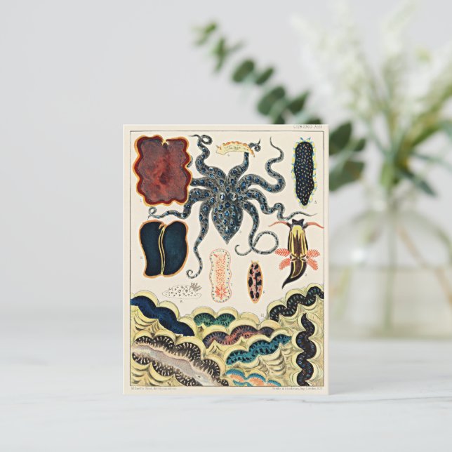 Great Barrier Reef of Australia Postkarte (Stehend Vorderseite)