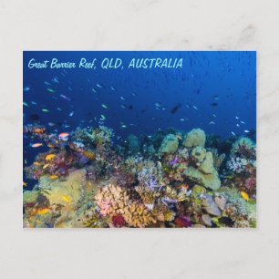 Great Barrier Reef Postcard Postkarte
