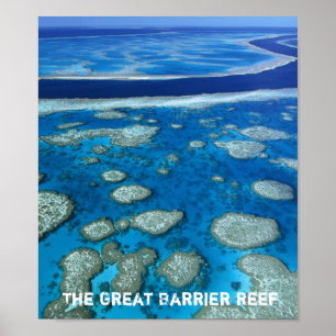 Great Barrier Reef Print Poster