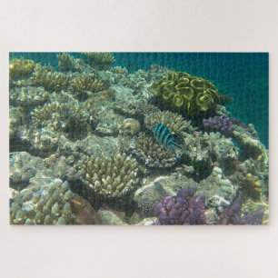 Great Barrier Reef Puzzle