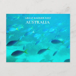Great Barrier Reef Queensland australische Reise Postkarte