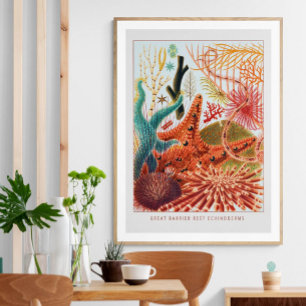 Great Barrier Reef Stachelhäuter   Vintage  Poster