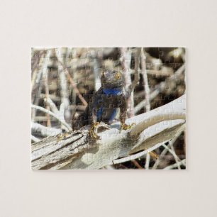 Great Basin Fence Lizard im Joshua Tree Puzzle