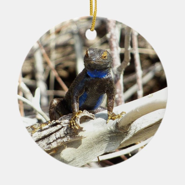 Great Basin Fence Lizard in Joshua Tree Keramikornament (Vorne)