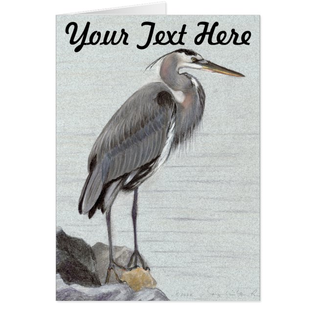 Great Blue Heron (Vorne)