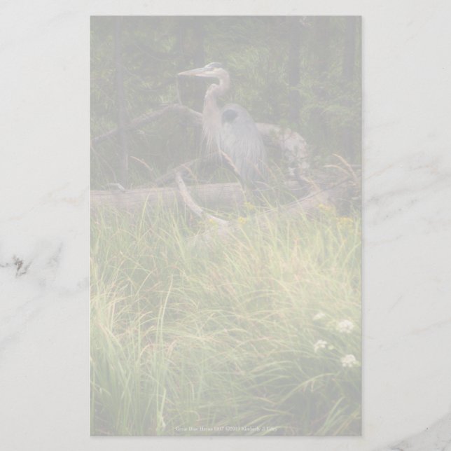 Great Blue Heron 8917 Briefpapier (Vorderseite)