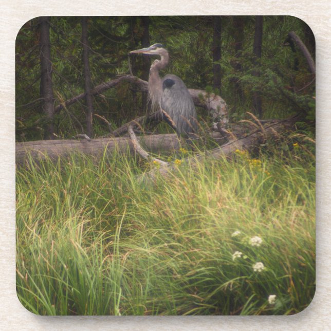 Great Blue Heron 8917 Getränkeuntersetzer (Vorderseite)