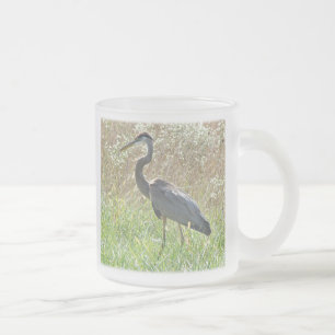 Great Blue Heron - Ardea herodias Mattglastasse