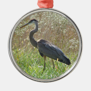 Great Blue Heron - Ardea herodias Silbernes Ornament