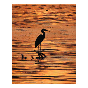 Great Blue Heron at Sunset Fotodruck