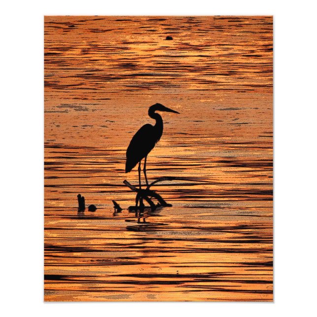Great Blue Heron at Sunset Fotodruck (Vorne)