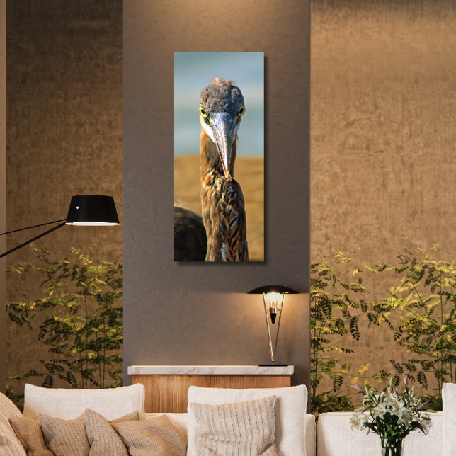 Great Blue Heron - Beach Bird - Paradies - Foto Leinwanddruck (Von Creator hochgeladen)