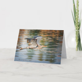 Great Blue Heron Bird All Occasion Blank Feiertagskarte