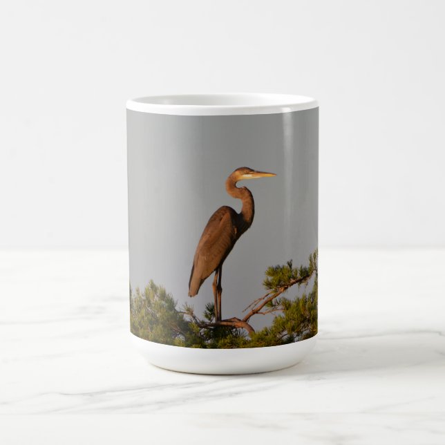 Great Blue Heron Bird Naturfotografie Natur Kaffeetasse (Mittel)